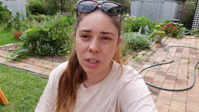 A Week In The Flower Farm 💐🌸 Planting, Weekly Harvest, How To Make A Jam Jar Posy + Catch Up Chat