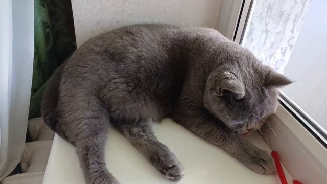 4dc26a4233cbb5395dd831c989368a47