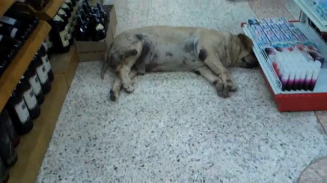 A624f98ebbfffe387fdf3362e4ae33c0