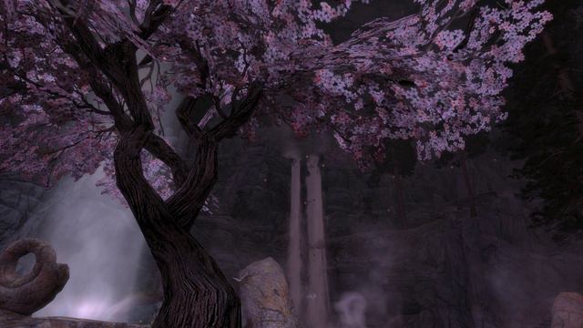 The Elder Scrolls V  Skyrim SE DREAMY AESTHETIC: Ancient Glade
