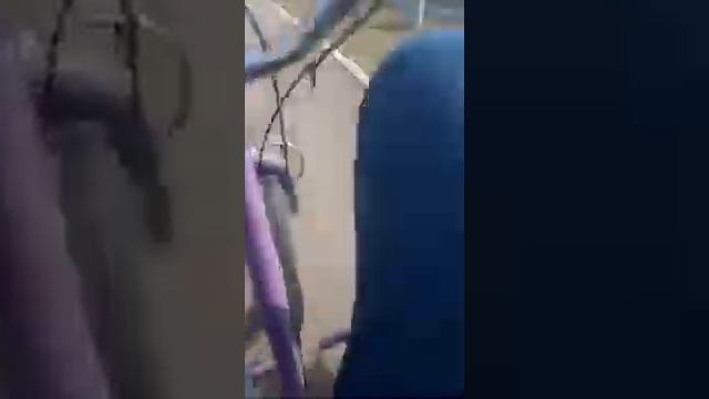 Трайк из гироскутера