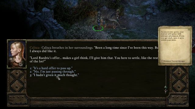 Pillars Of Eternity