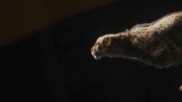 Quickstep Livyn Rigid - Cheetah Coming - Flooring Supplies