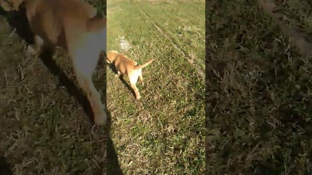 22 декември 2022 г.