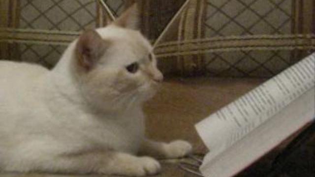 E2dc3cc09058f699a6a34928af17af1f