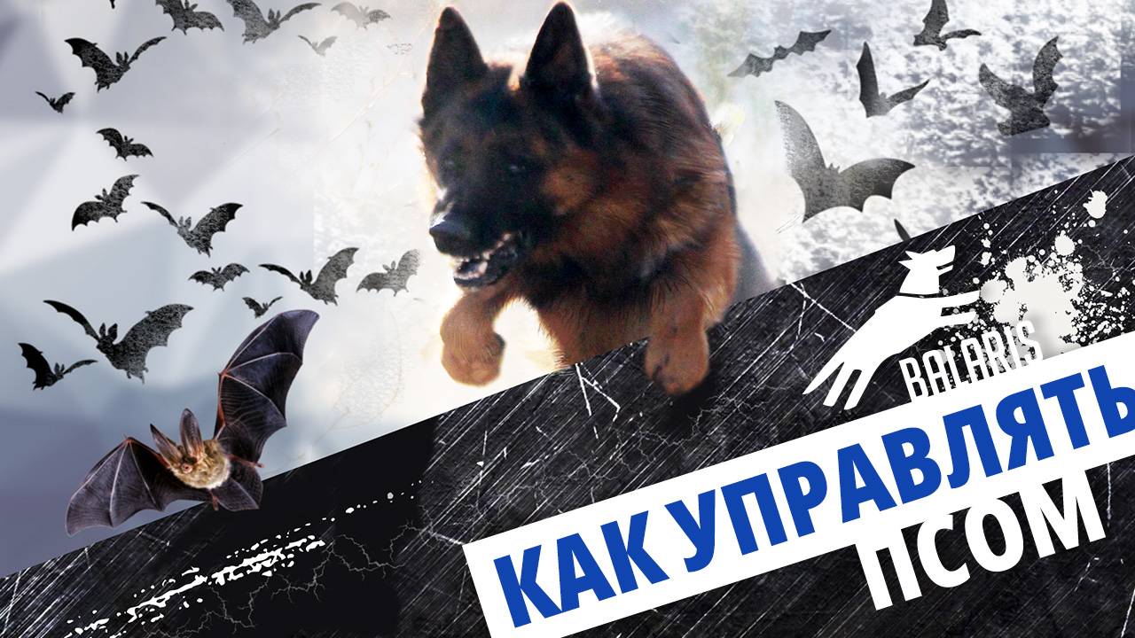 Овчариум. Обучающие ролики