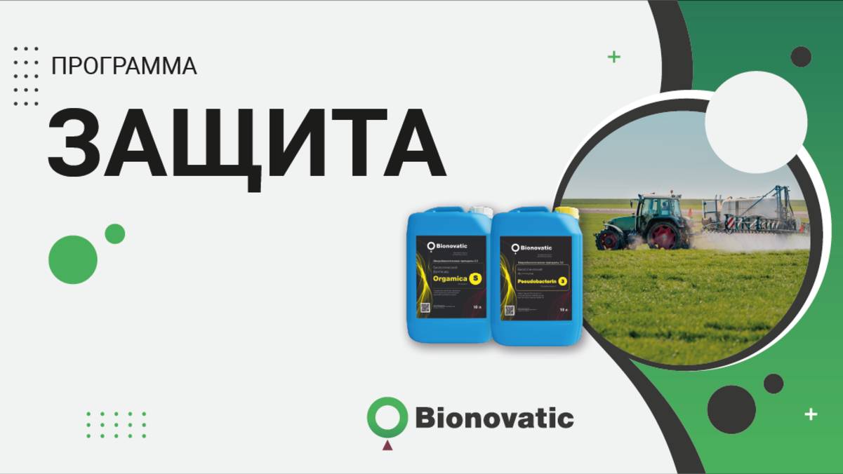 Программа ″Защита″