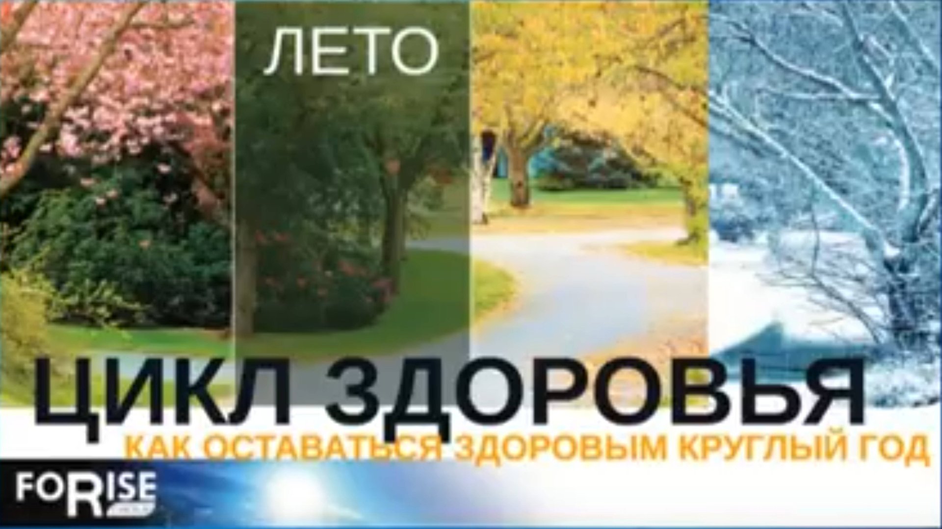 Программы по восстановлению