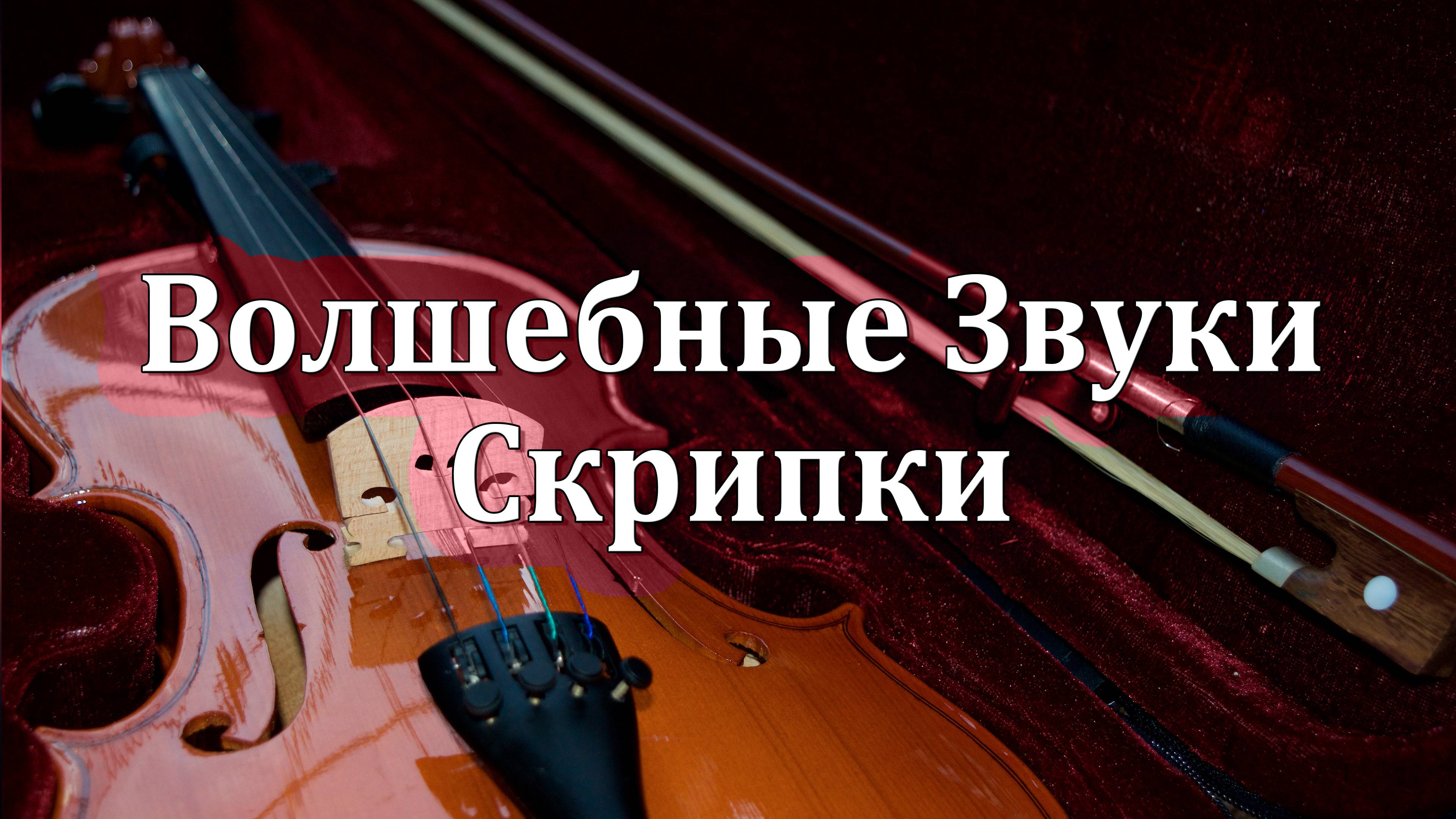 💖🎻💖 Скрипка (Смычковые)