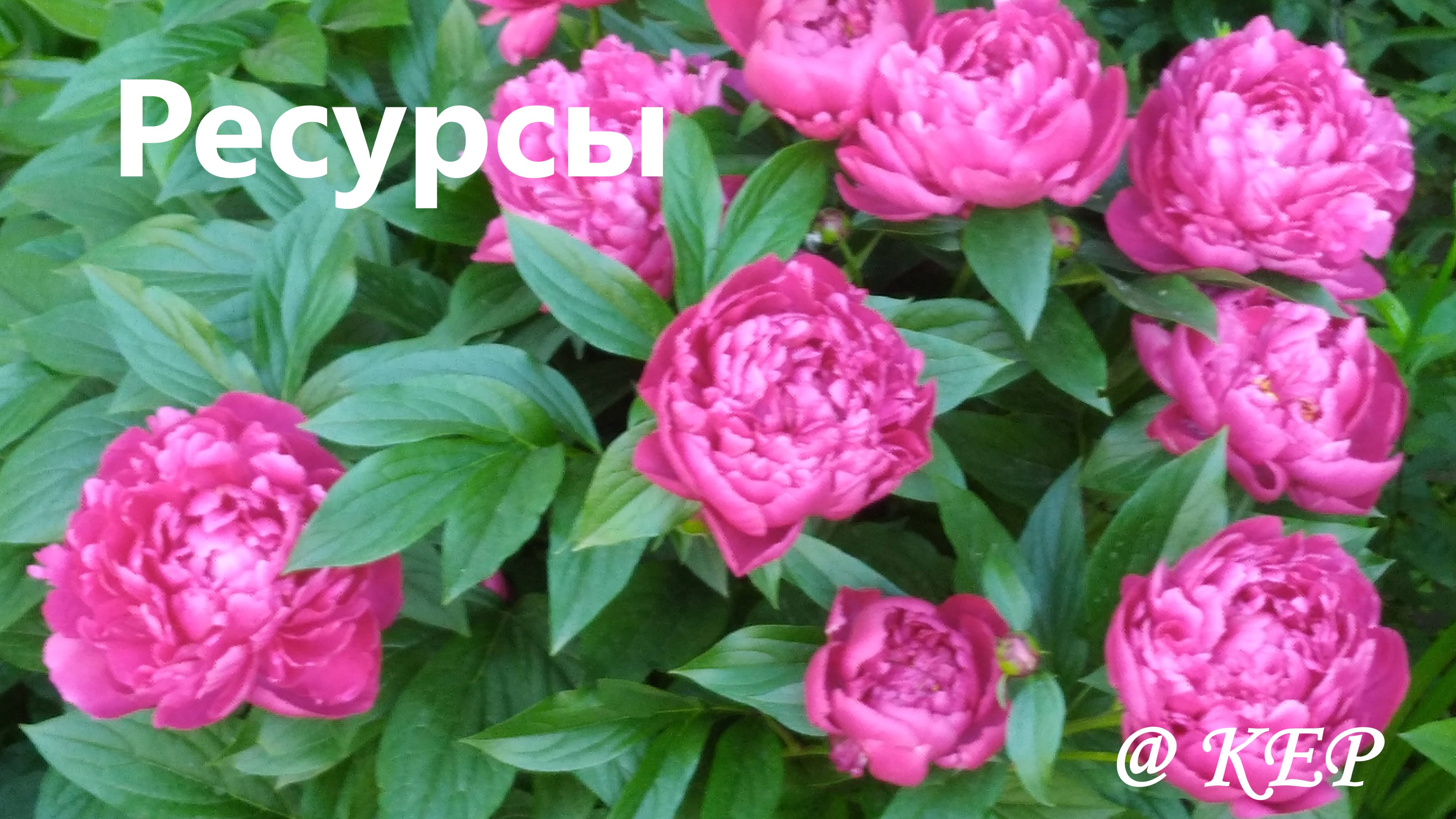Ресурсы для мотивации и настроения