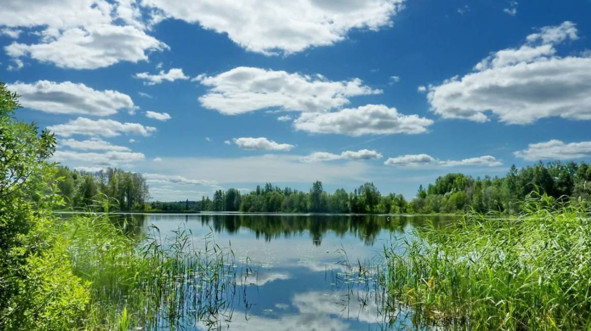 23 _ Прогулки, Поездки, Походы. \ Природа _ Интересные места. _ 23