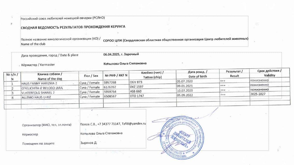 Кёрунг ЗАРЕЧНЫЙ 06 апр`25 (О.Копылова) 4 собаки