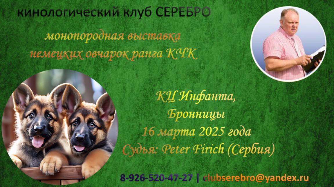 КЧК БРОННИЦЫ 16 марта`25 (P.Firic) Моно немецких овчарок