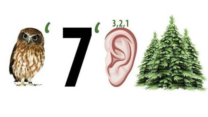 С матом 18+