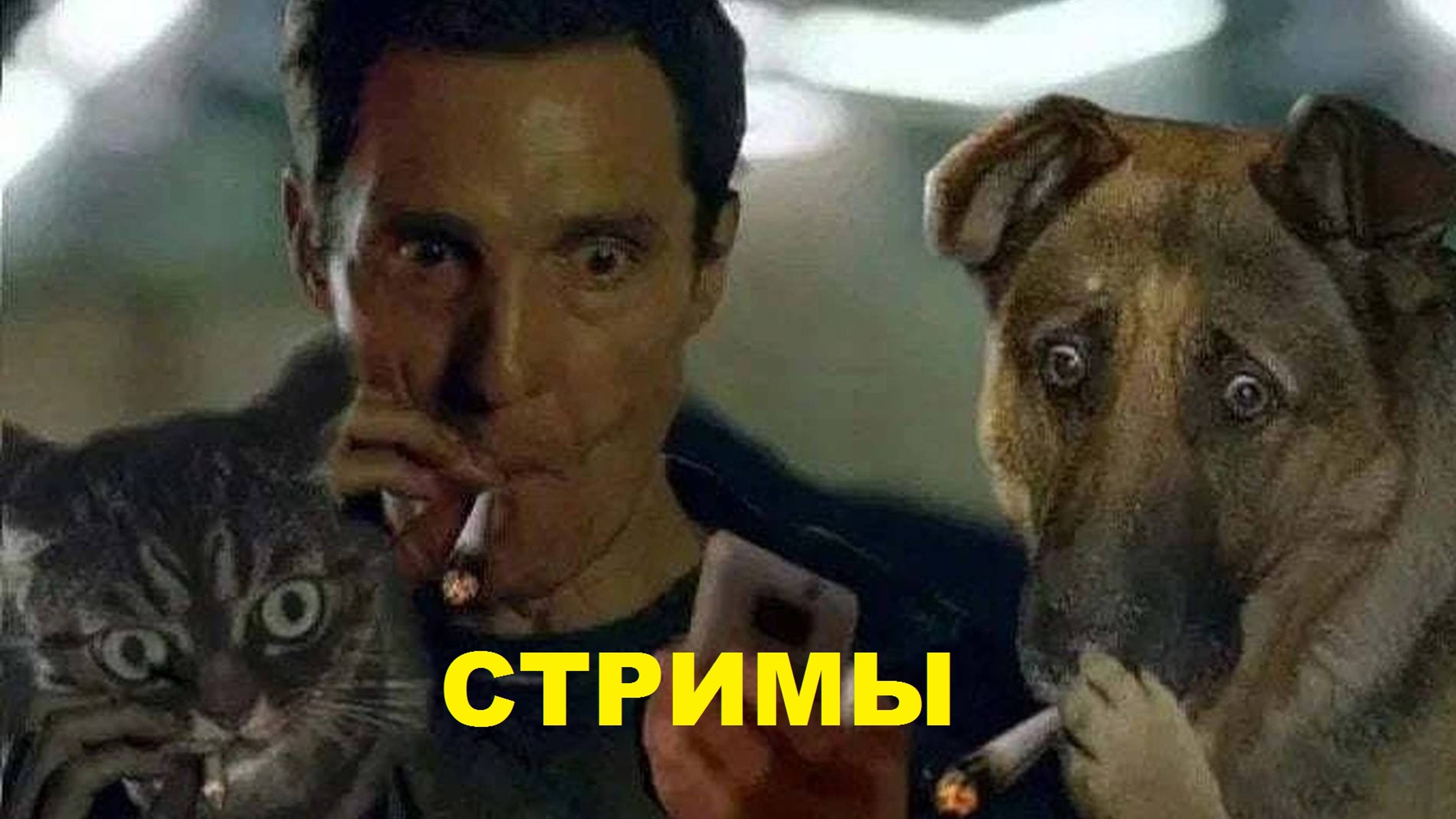 Танковые стримы. Мир танков.