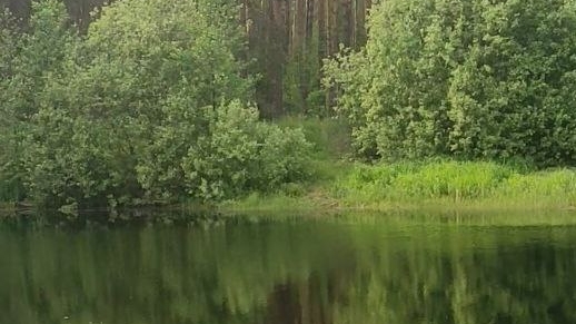 Библия Евангелие от Луки