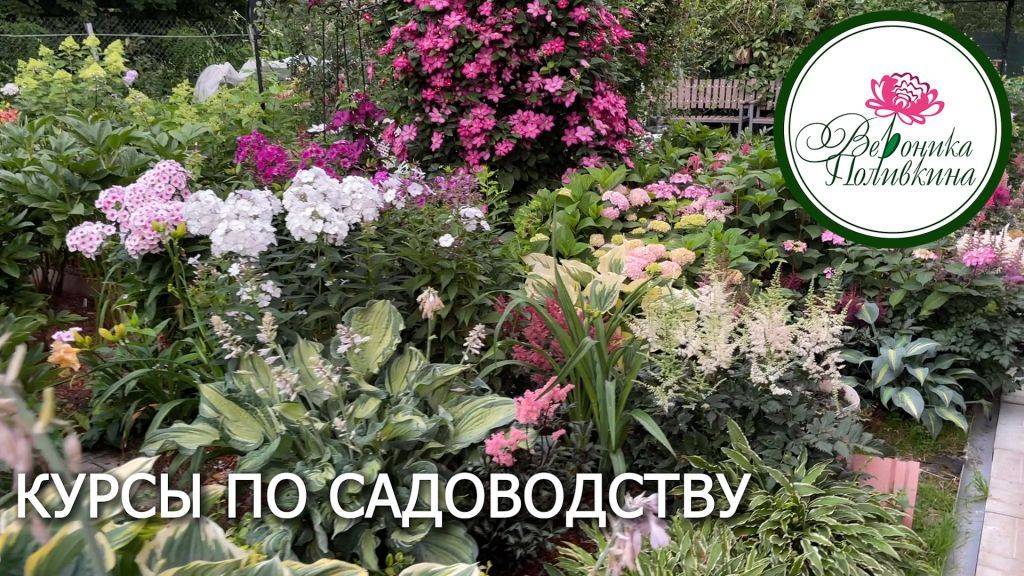 КУРСЫ ПО САДОВОДСТВУ И ОГОРОДНИЧЕСТВУ