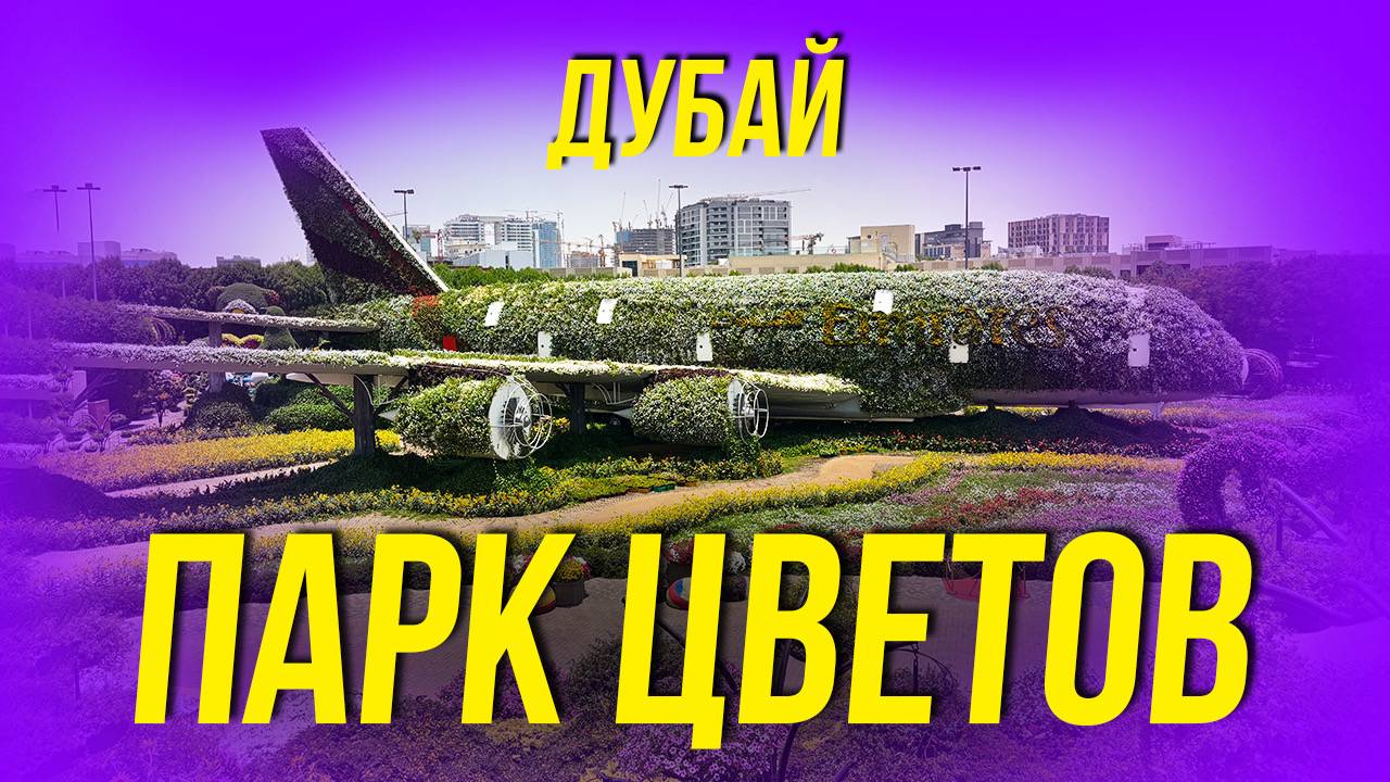 ДУБАЙ 2025
