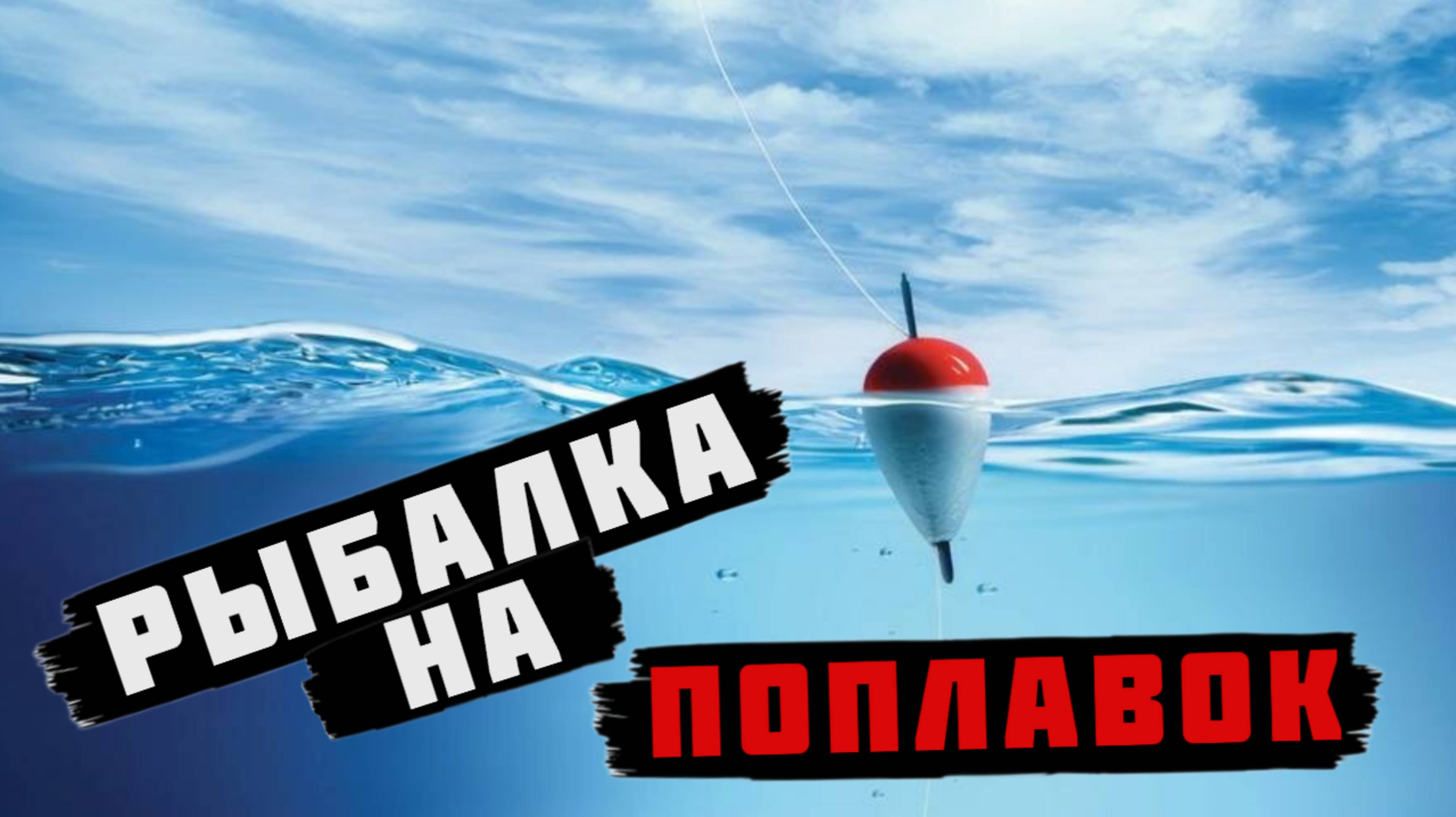 Рыбалка на поплавок