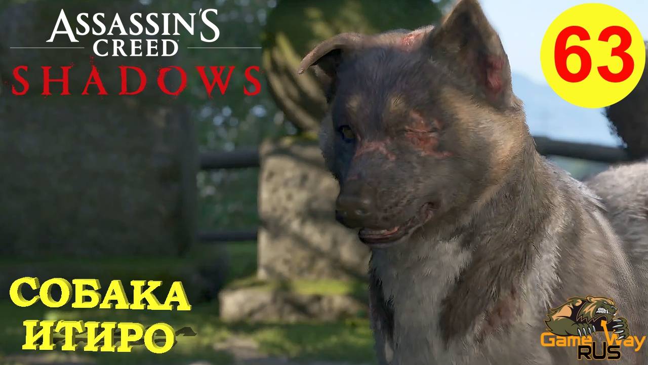 ASSASSIN′S CREED SHADOWS 🎮 PS5 Прохождение на русском.