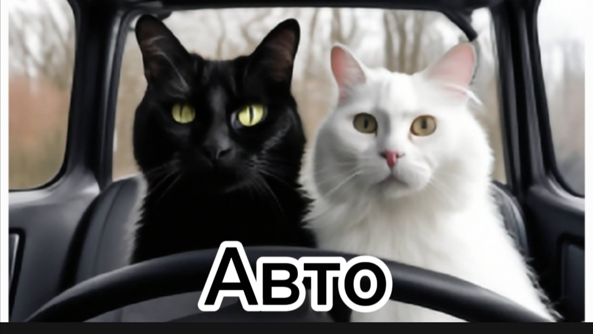 Авто