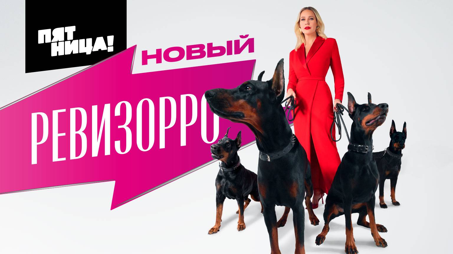 Ревизорро