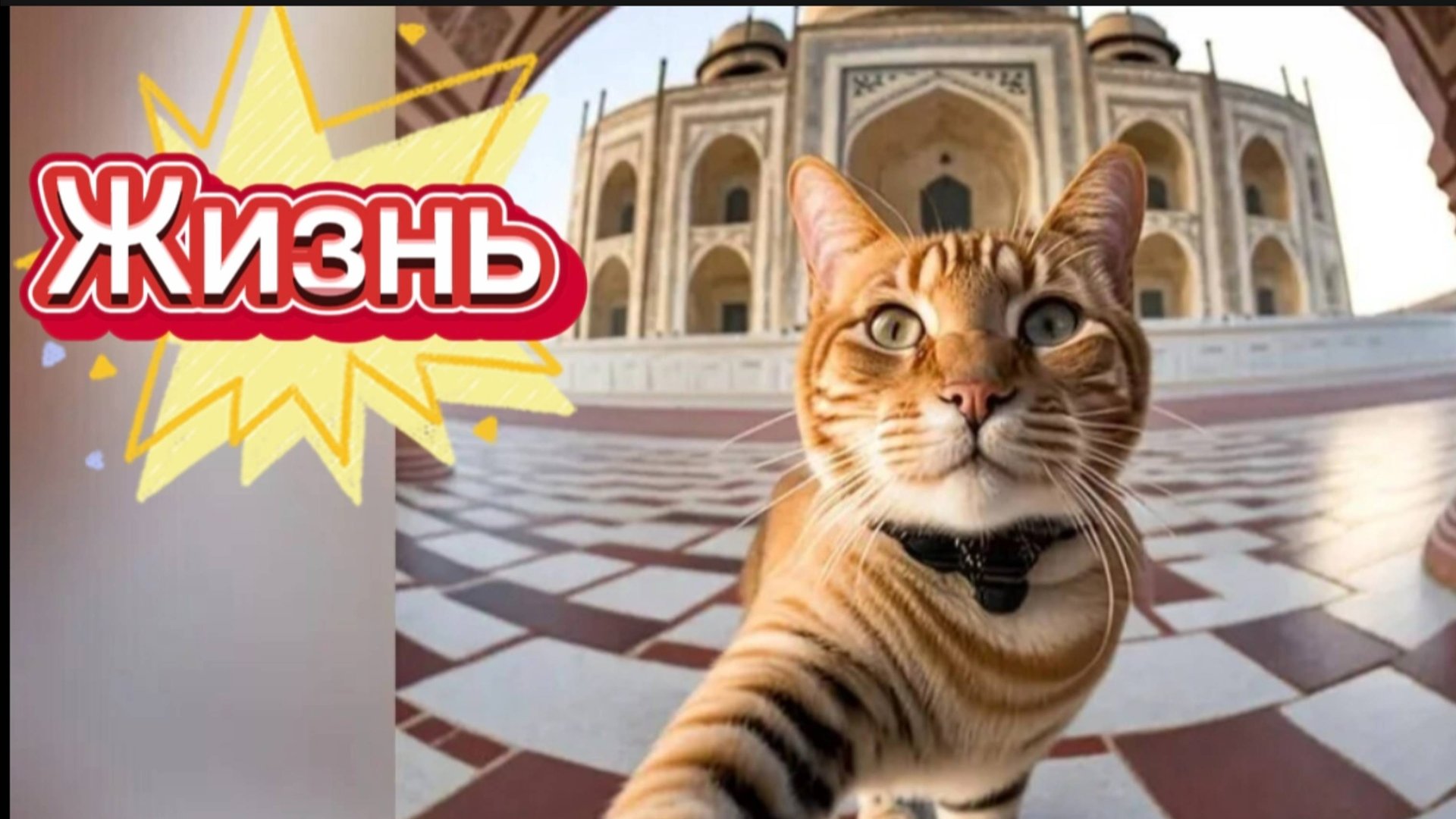 Дневник жизни