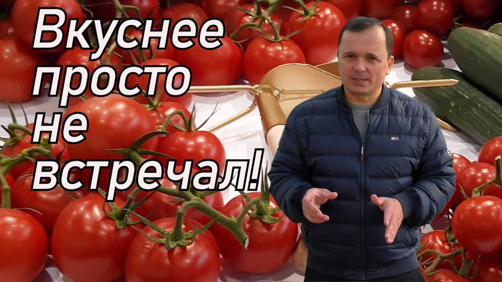 ТОМАТЫ ОТ ″А″ ДО ″Я″! ВСЕ СЕКРЕТЫ УРОЖАЯ!
