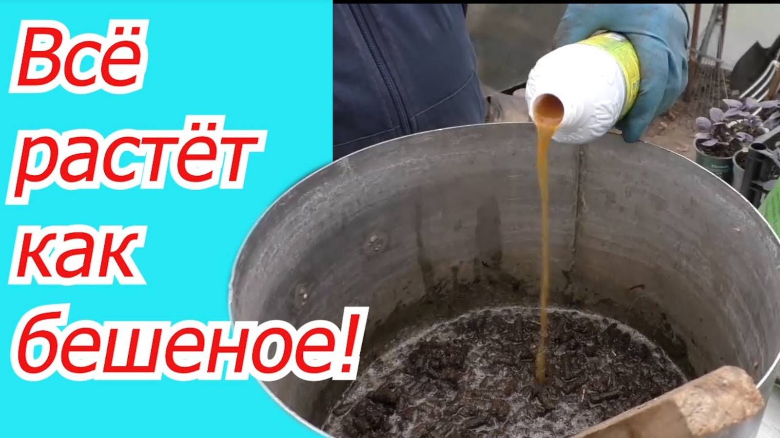 ПОЛЕЗНЫЕ УДОБРЕНИЯ! МЕЛКИЕ ХИТРОСТИ НА ОГОРОДЕ!