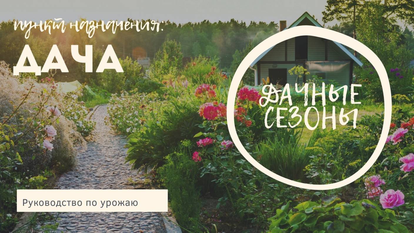 Дачные сезоны