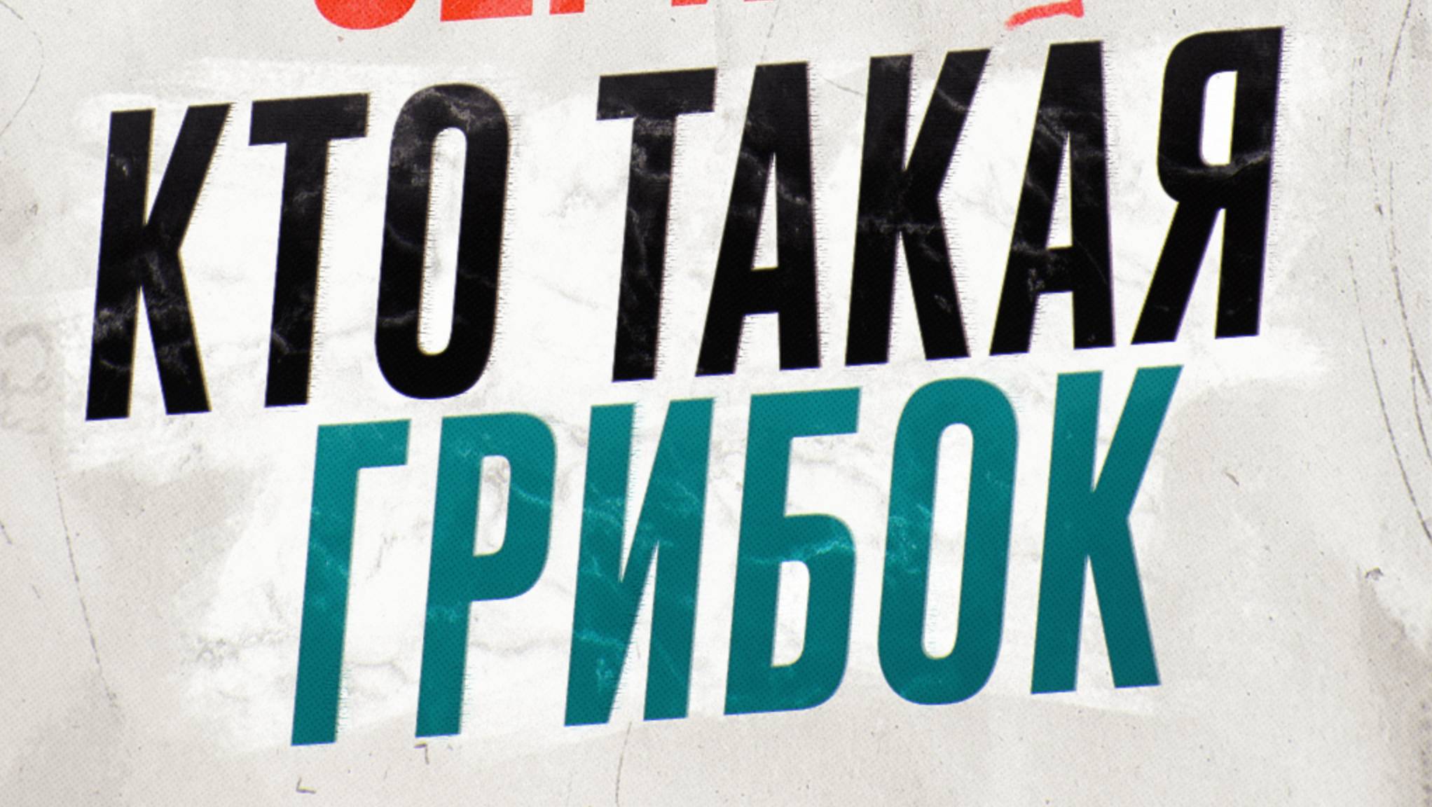 Рилс-сериал ″Кто такая Олеся Грибок″