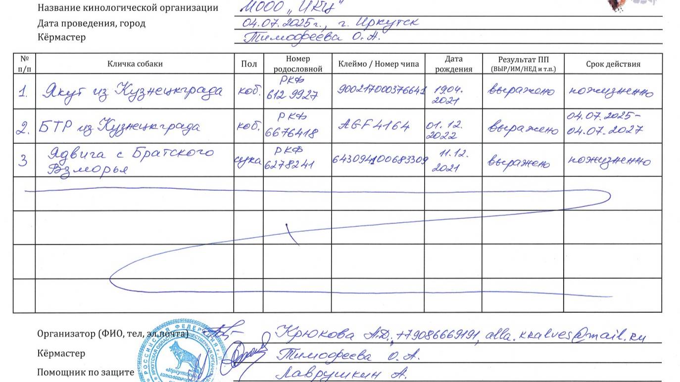 Кёрунг ИРКУТСК 04 июл`25 (О.Тимофеева) 3 собаки