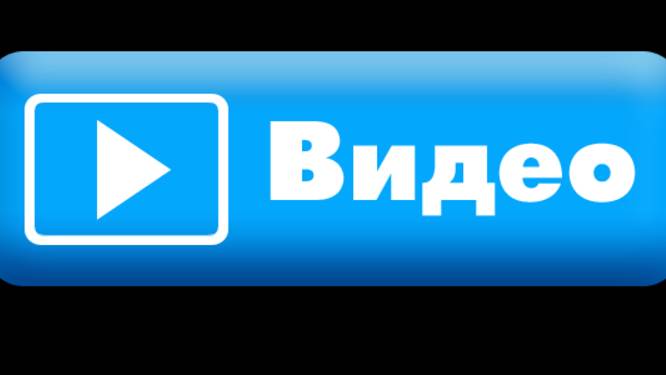 все шортсы