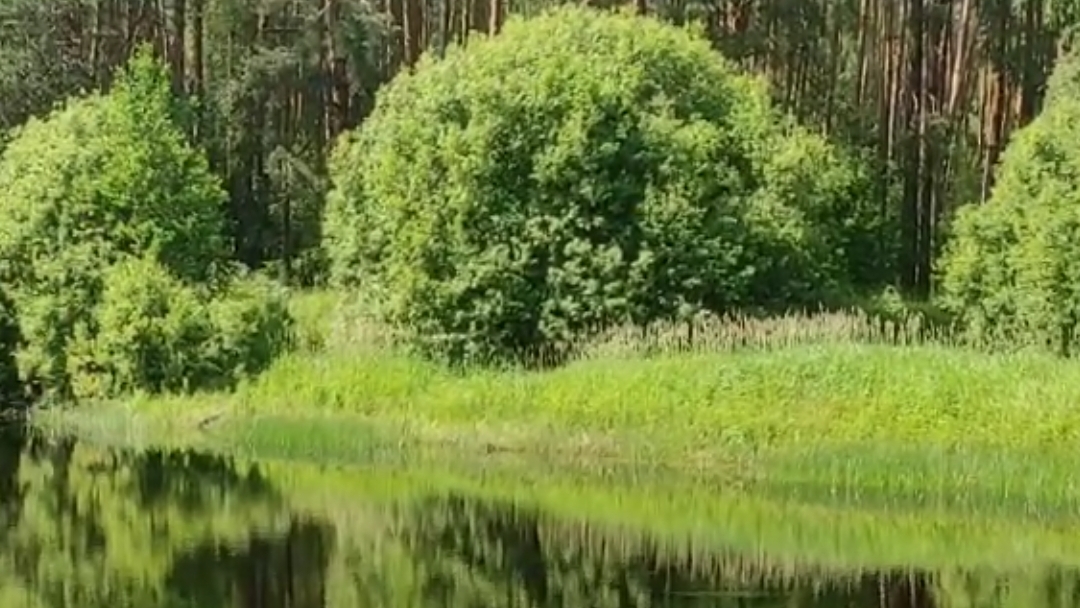 Мышление нельзя остановить Ошо
