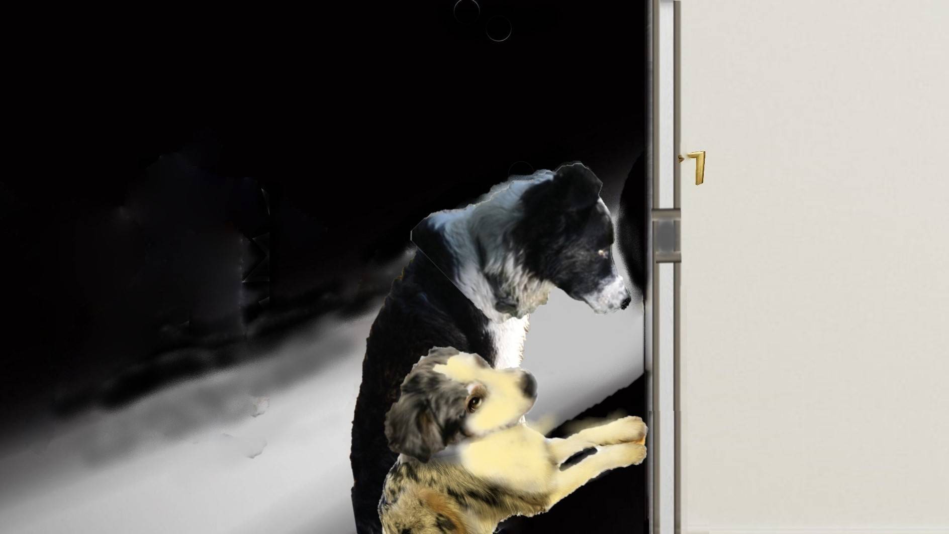 Юмор и животные