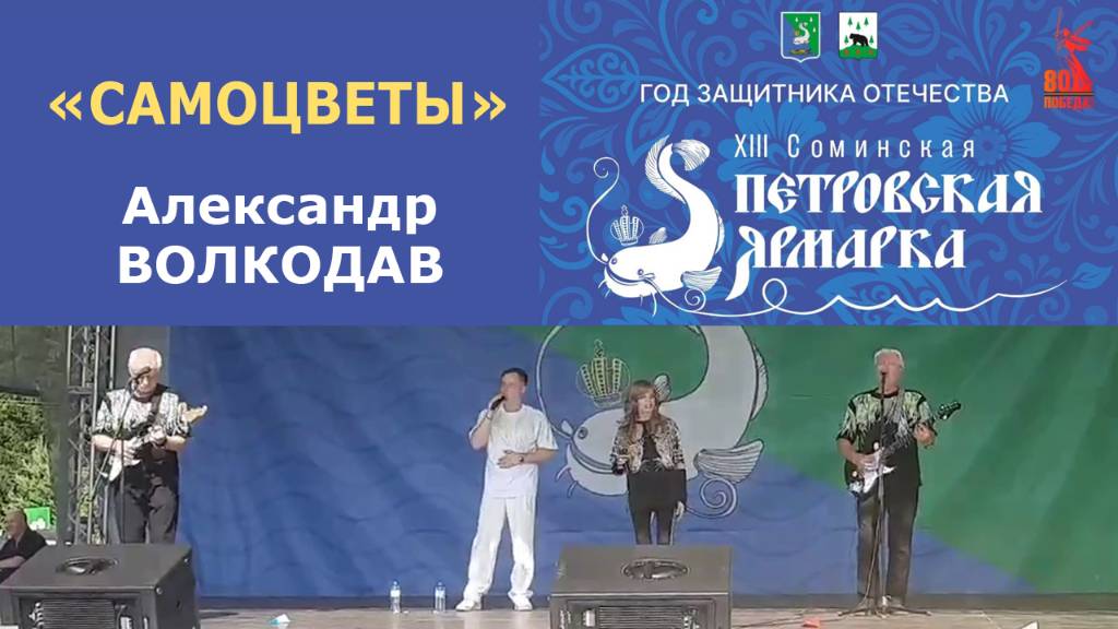 Соминская Петровская ярмарка 12.07.2025