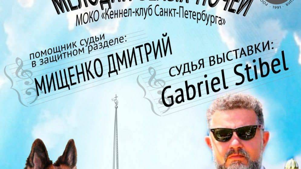 КЧК САНКТ-ПЕТЕРБУРГ 12 июля`25 G.Stibel Моно немецких овчарок