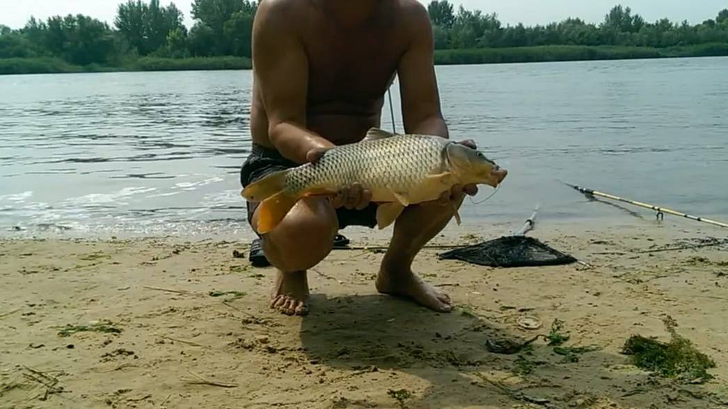 Рыбалка