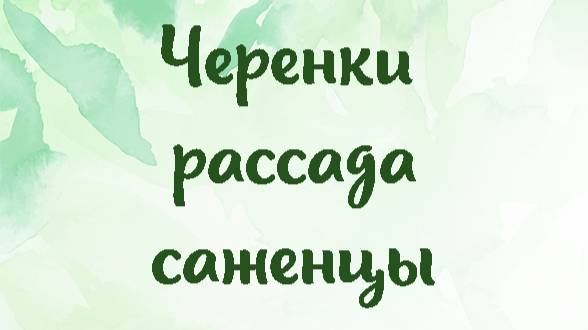 Черенки, рассада, саженцы