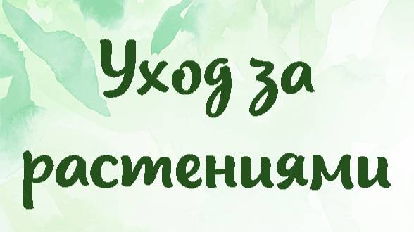 Уход за растениями