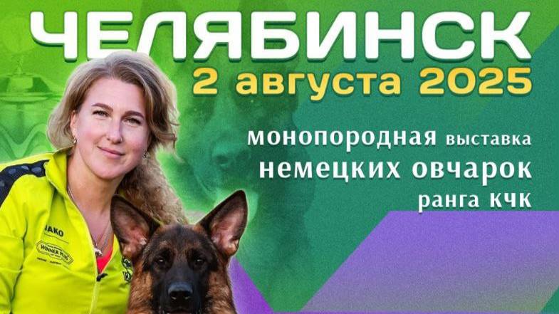 КЧК ЧЕЛЯБИНСК 2 августа`25 О.Семенова Моно немецких овчарок