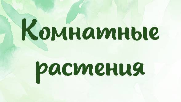 Комнатные растения