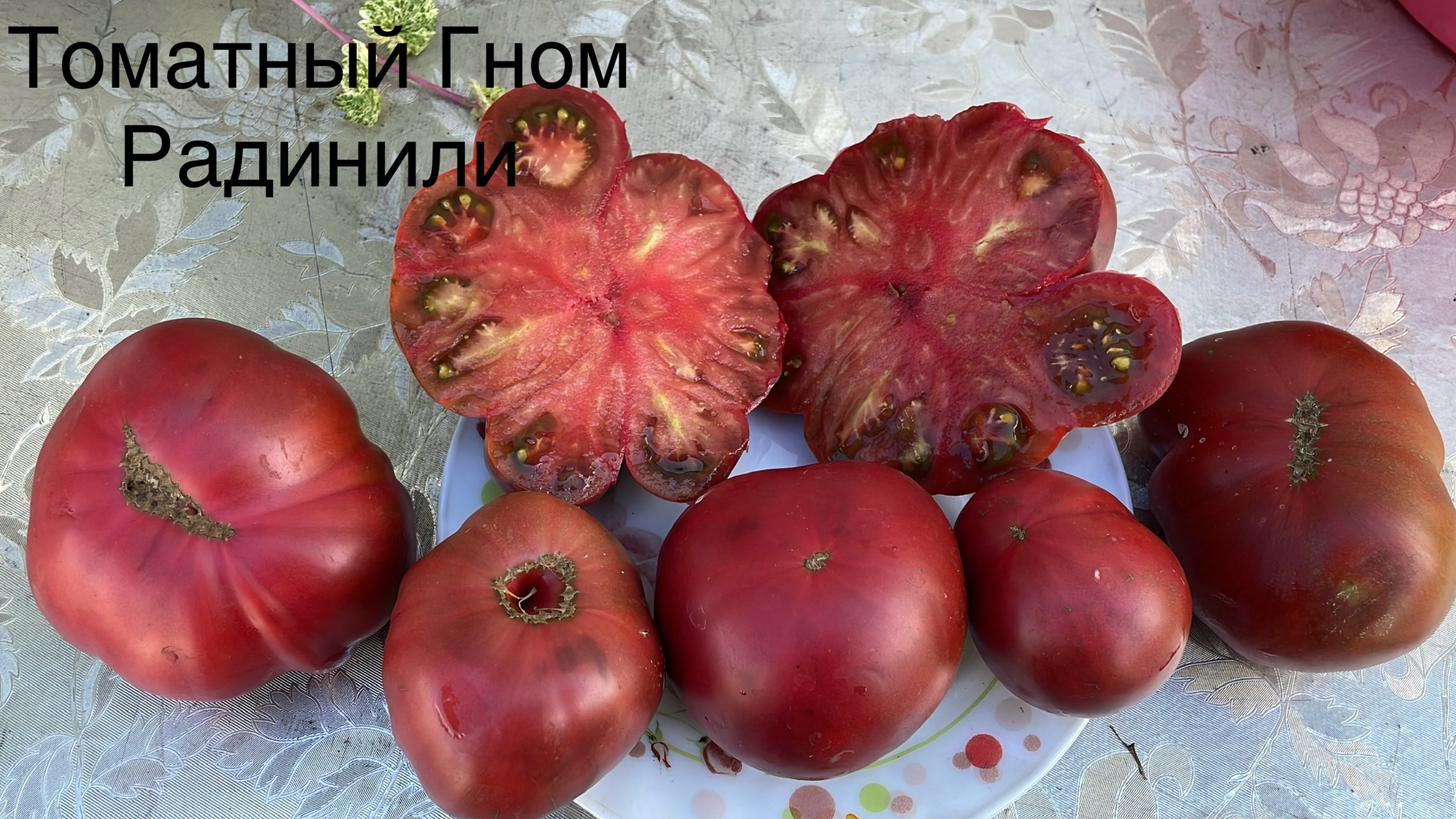 Томатные Гномы