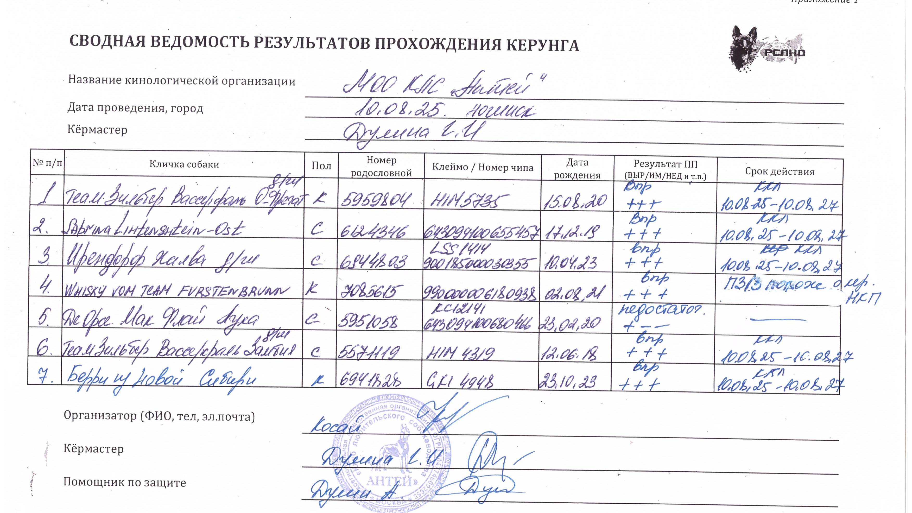 Кёрунг МОСКВА 9-10 авг`25 (Г.Дулина) 19 собак