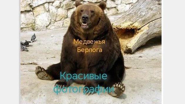 Медвежья Берлога