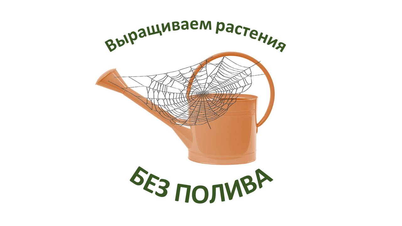 Выращиваем без полива