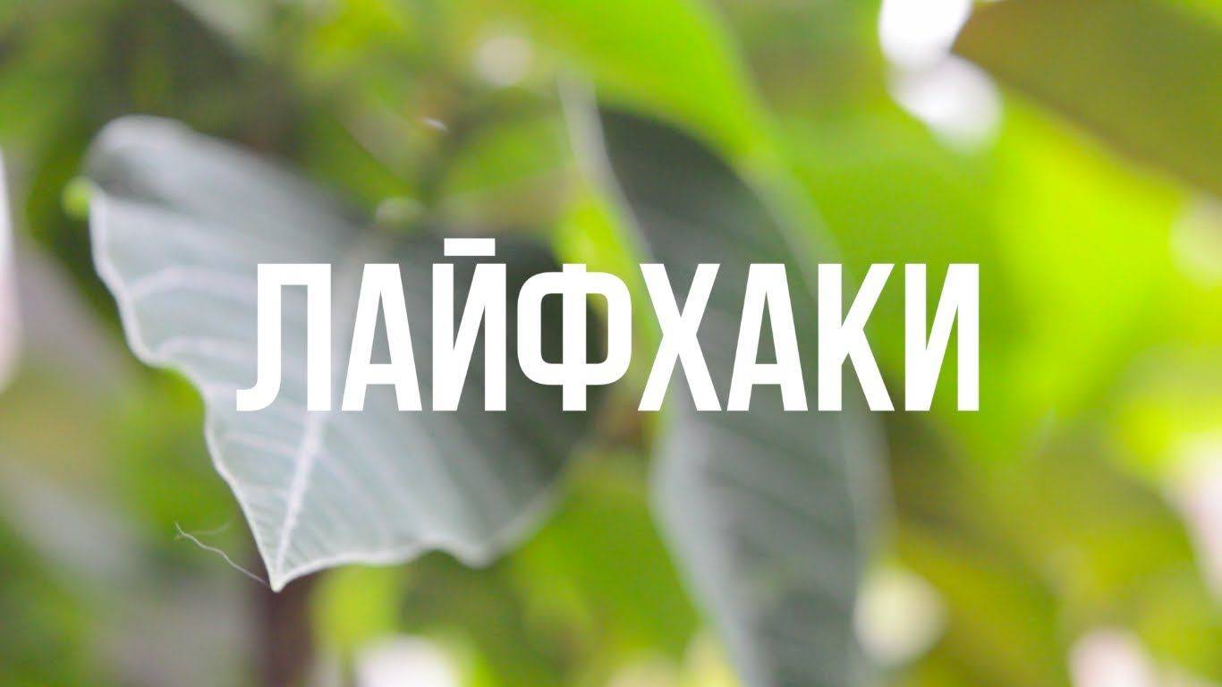 Лайфхаки