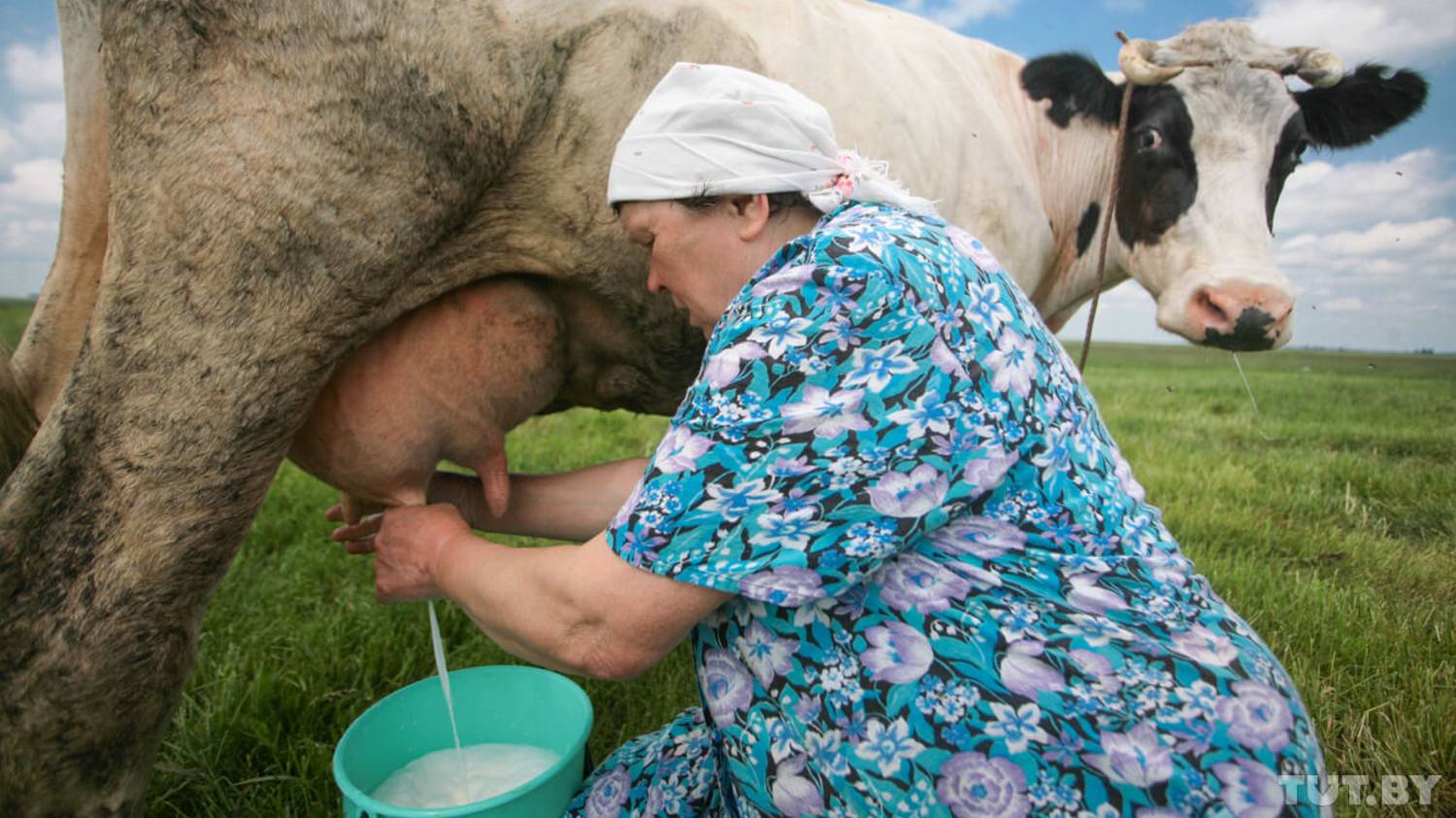 Ranch Simulator