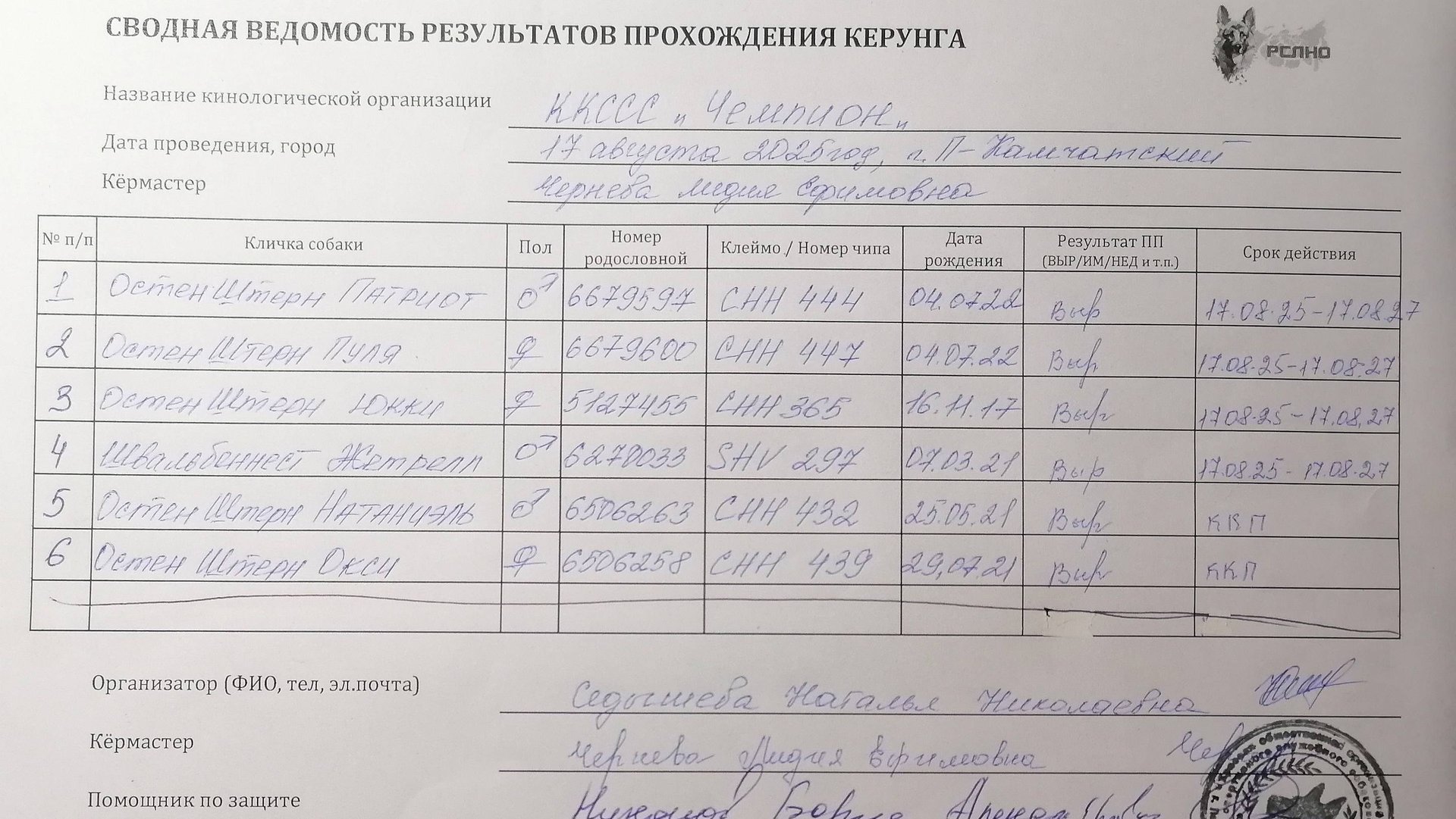 Кёрунг ПЕТРОПАВЛОВСК-КАМЧАТСКИЙ 17 авг`25 (Л.Чернева) 6 собак