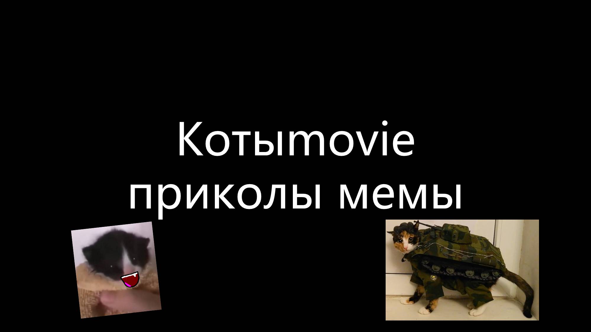 Котыmovie приколы мемы